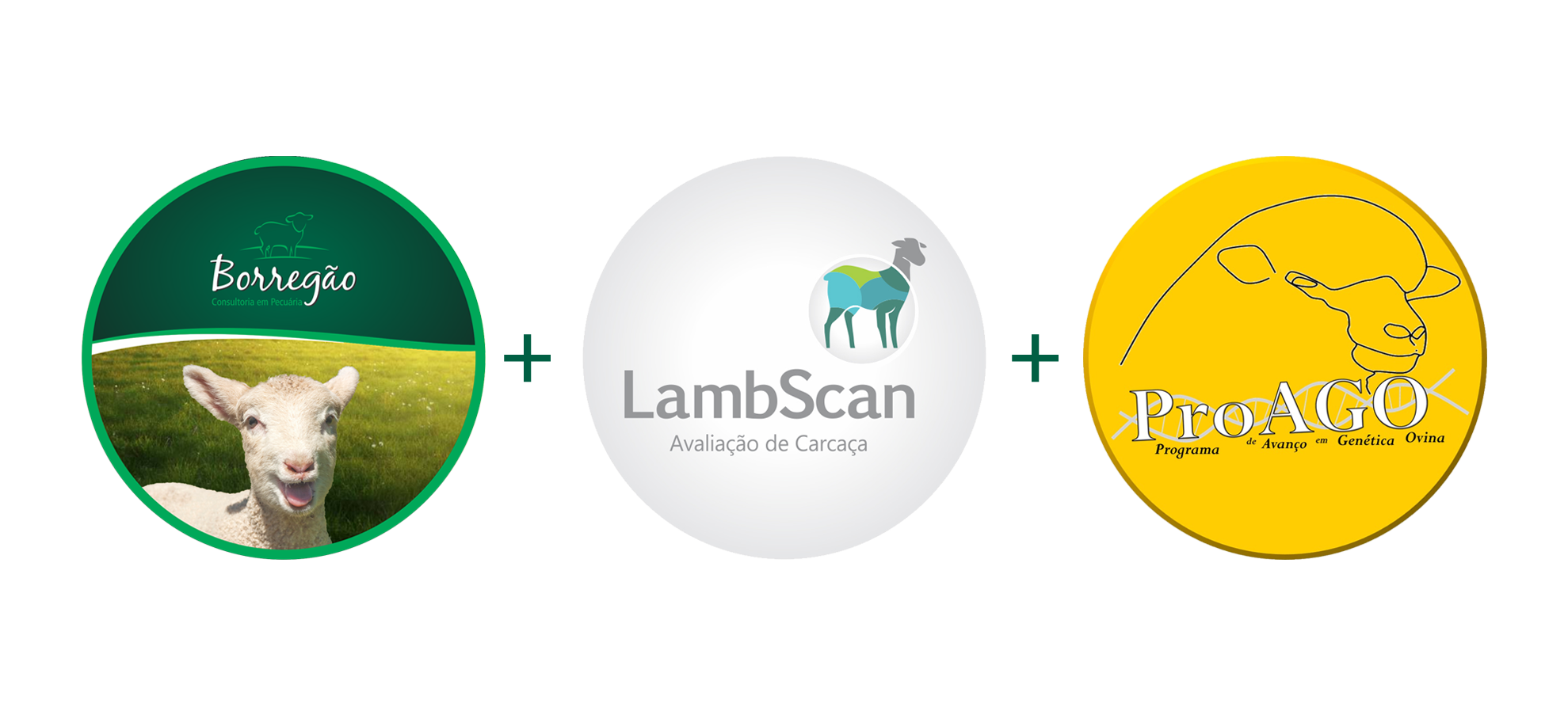 LambScan